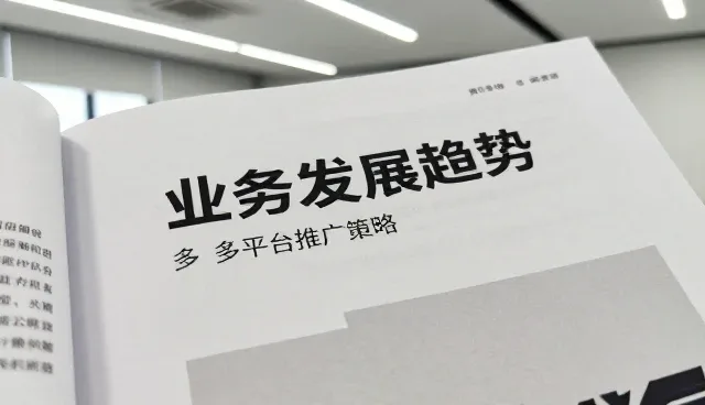 数据运营中的平台维护策略与实践要点